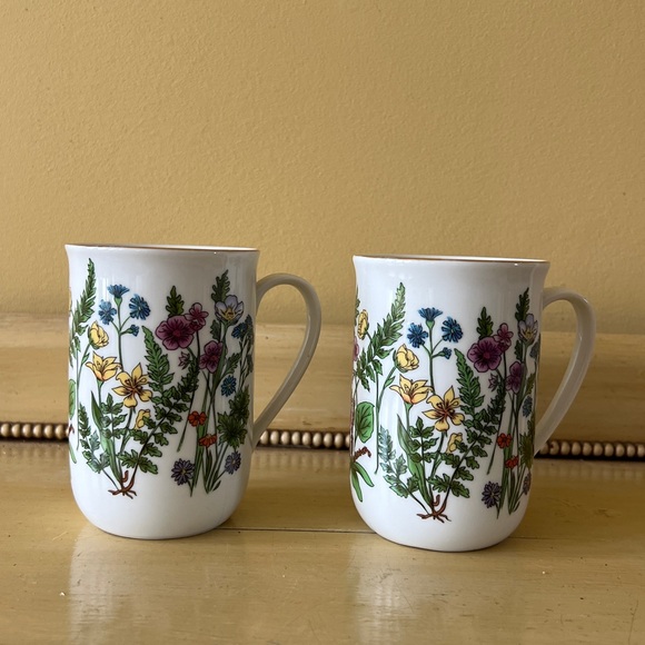 Other - Washington Cathedral “Wild Flowers” Teacups